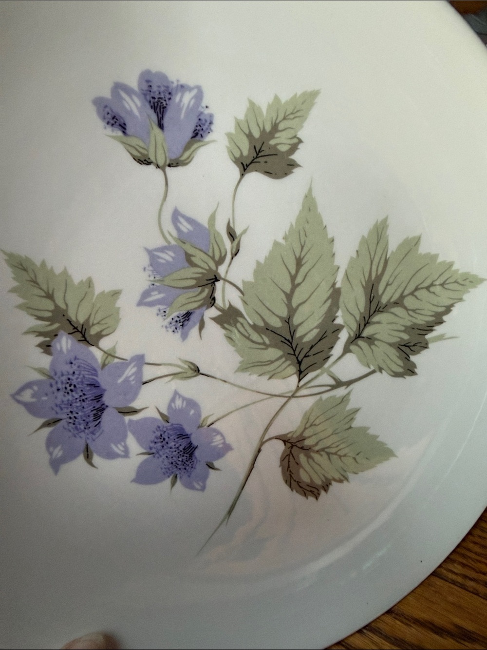 Knowles Milano 10” dinner plates. Two plates. Ivory, purple and green floral